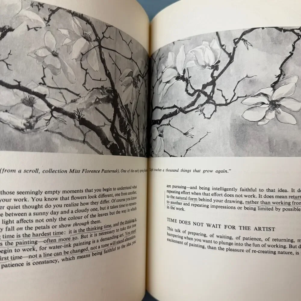 VTG 1966 Oriental Brushwork by Wang Chi-Yuan Art Book Water-Ink Painting Artist